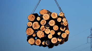 Правительство России вводит пошлины на некоторые виды экспорта древесины